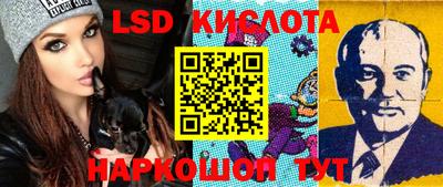 бошки Дмитров