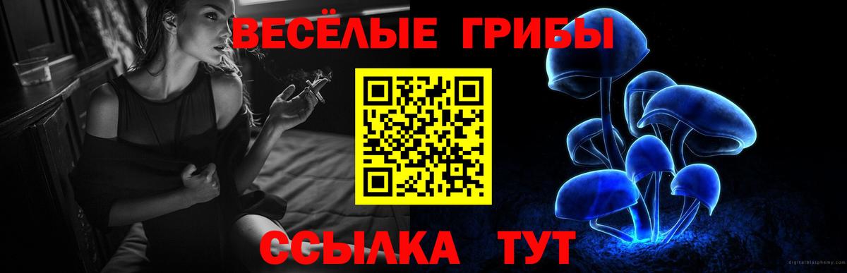 Галлюциногенные грибы GOLDEN TEACHER  Псилоцибиновые грибы ЛСД  цена наркотик  Вход с VPN  Ачхой-Мартан 